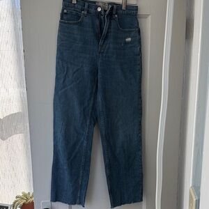 Everlane way high Jean